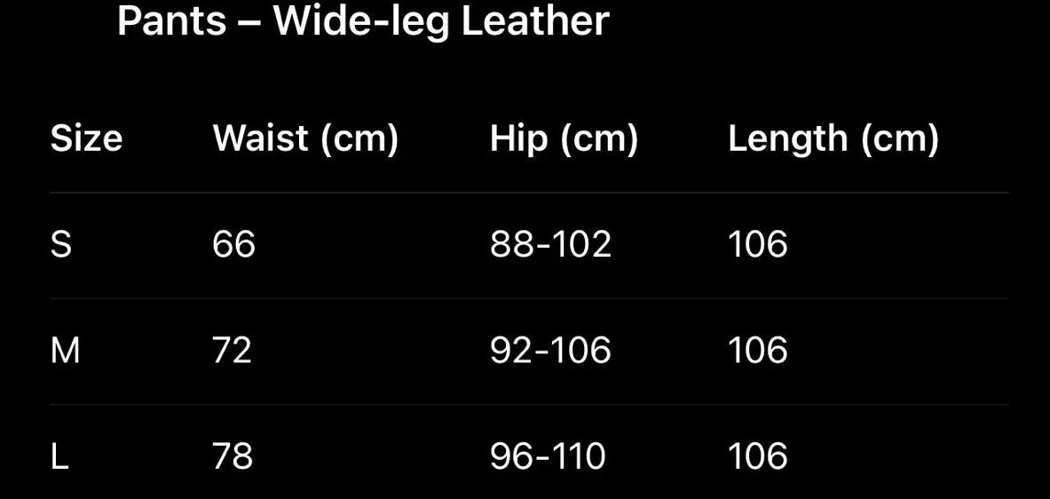 Vien – Wide-Leg Leather Pants with Adjustable Tie
